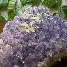 Load image into Gallery viewer, Amethyst Geode #44
