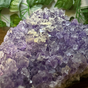 Amethyst Geode #44