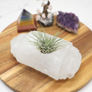 Selenite Log Tealight Candleholder